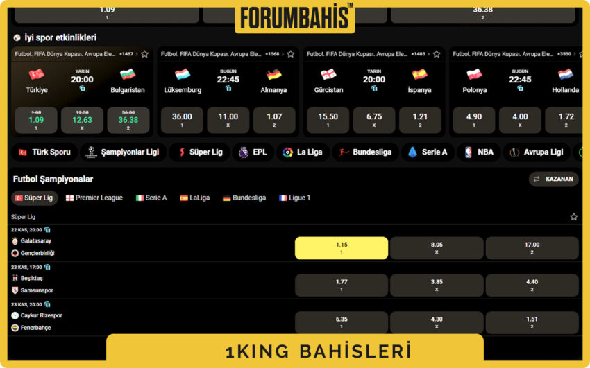 1King login sayfası, e-posta ile giriş seçeneği ve sosyal ikonlar