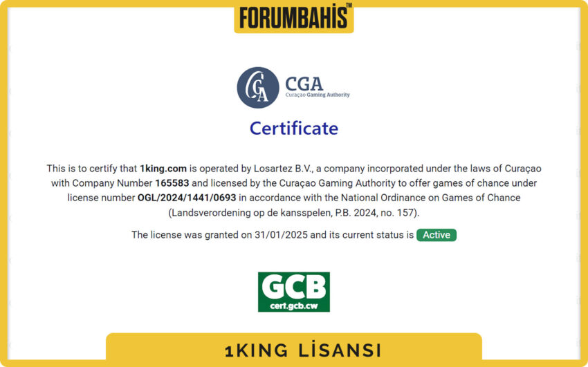 1King lisans sayfası alt bilgi, footer’da lisans rozetleri ve linkler