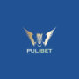 pulibet giriş bilgileri