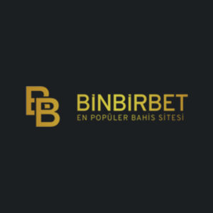 binbirbet giriş DNS ayarı