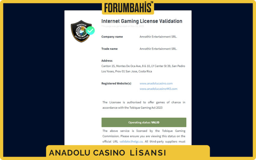 AnadoluCasino lisans sayfası, lisans sahibi şirket unvanı ve vergi kaydı notu