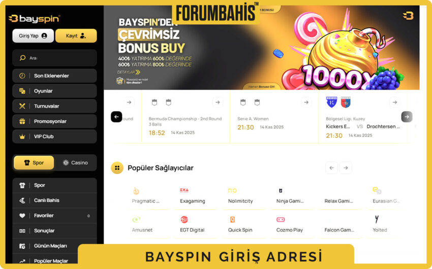 Bayspin giriş kutusu, hatırlatma metni ve parolayı göster ikonuyla