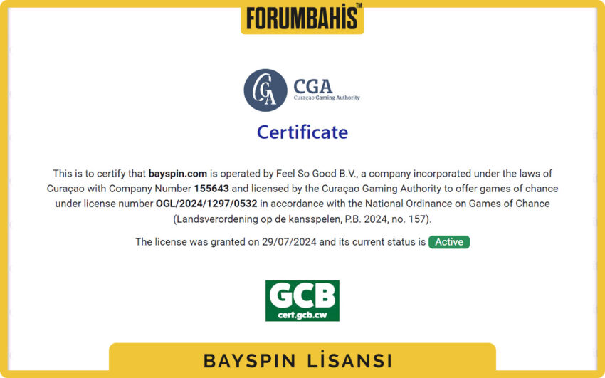 Bayspin lisans tablosu, lisans ülke bilgisi ve şirket kayıt linki