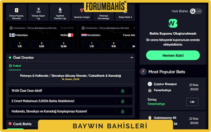 Baywin mobil uygulama tanıtım bannerı, indir ve kurulum adımları