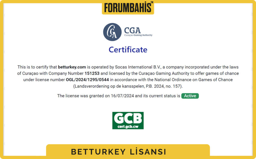 Betturkey lisans ekran görüntüsü, lisans numarası alanı ve ülke seçici