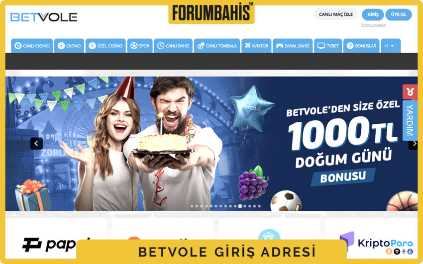 Betvole giriş modal, sayfa karartması üzerinde form ve onay butonu