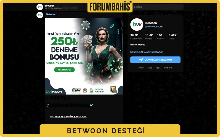 Betwoon kullanıcı paneli, bilet geçmişi ve açık destek talepleri