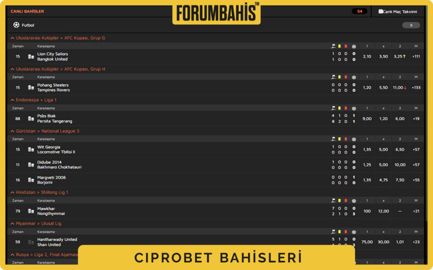 Ciprobet iletişim menüsü, kategori seçimi ve destek bileti oluşturma