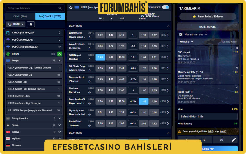 Efesbetcasino lisans ayrıntıları, gizlilik–kullanım şartları ve lisans bağlantıları