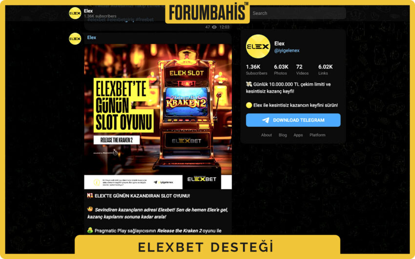Elexbet hesap sorunları sekmesi, şifre yenileme adımları ve destek linki