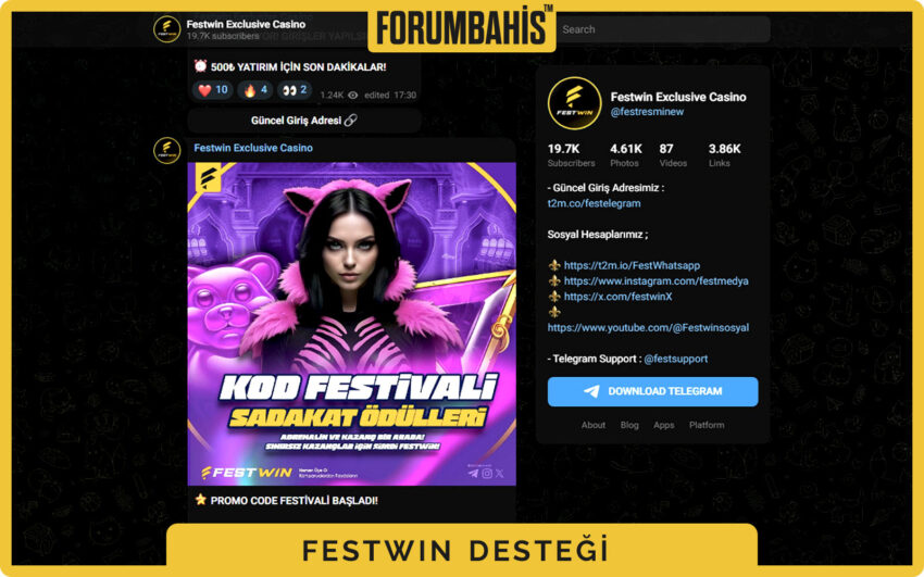 Festwin geri bildirim formu, ekran görüntüsü yükleme ve destek notu