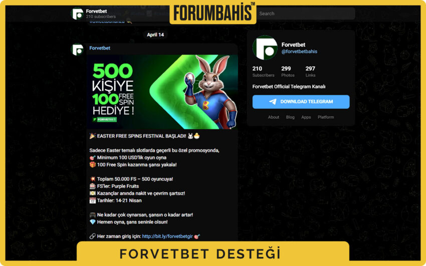 Forvetbet lisans rehberi, lisans doğrulama SSS ve destek bağlantısı