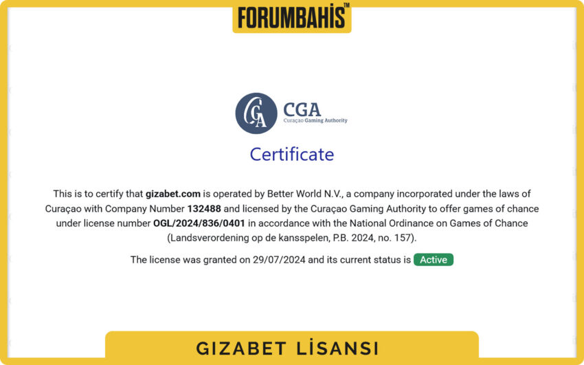 Gizabet lisans detayı, B2C lisans türü ve kayıt numarası kutusu