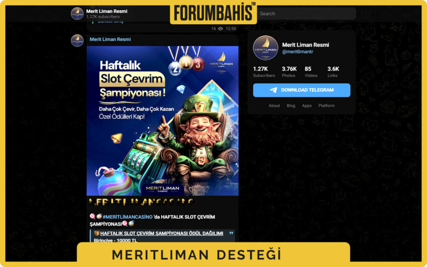 Meritlimancasino lisans rehberi, lisans doğrulama SSS ve destek bağlantısı
