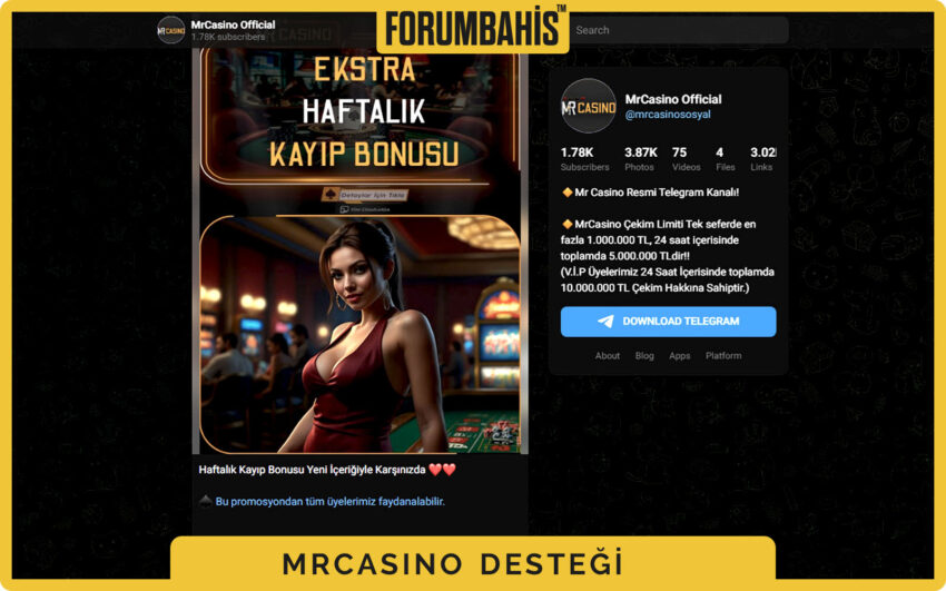 Mrcasino hesap doğrulama rehberi, belge yükleme adımları ve destek linki