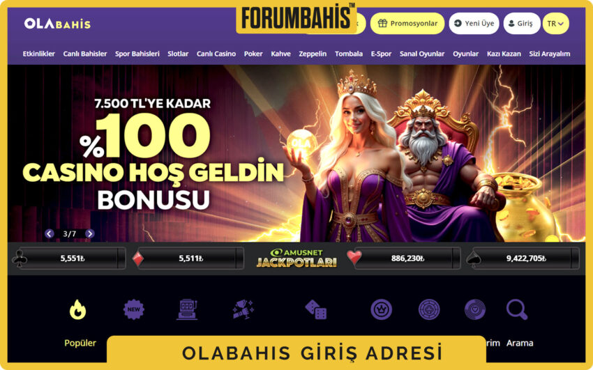 Olabahis giriş kutusu, hatırlatma metni ve parolayı göster ikonuyla