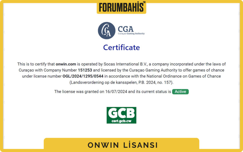 Onwin lisans detayı, B2C lisans türü ve kayıt numarası kutusu