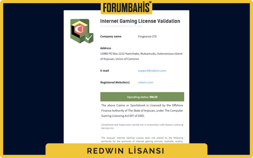 Redwin lisans detayı, B2C lisans türü ve kayıt numarası kutusu