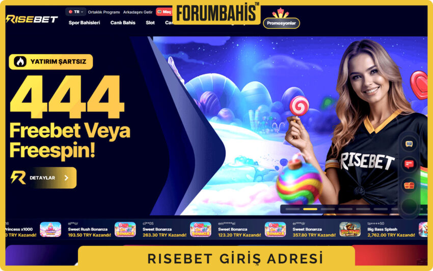 Risebet mobil giriş ekranı, e-posta ve şifre alanları ile hatırla seçeneği