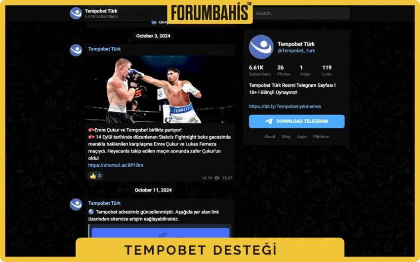 Tempobet kullanıcı paneli, bilet geçmişi ve açık destek talepleri