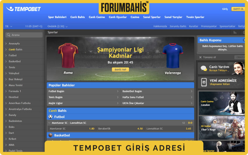 Tempobet renk paleti, yeşil tonlar ve beyaz arka plan üzerinde giriş formu