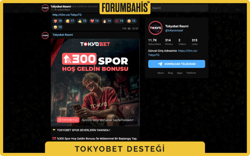 Tokyobet yardım merkezi ana ekranı, SSS başlıkları ve destek araması