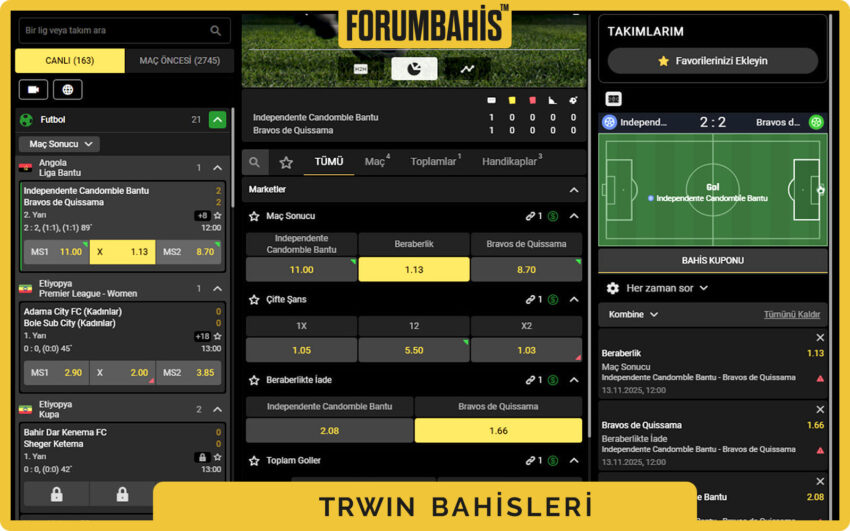 Trwin bildirim tercihlerim sayfası, eklentiler ve resmi destek kanalları