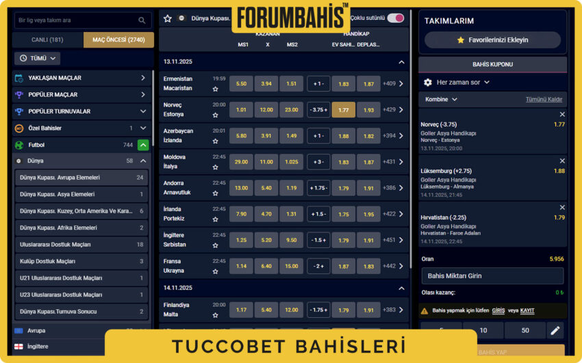 Tuccobet lisans detayı, B2C lisans türü ve kayıt numarası kutusu