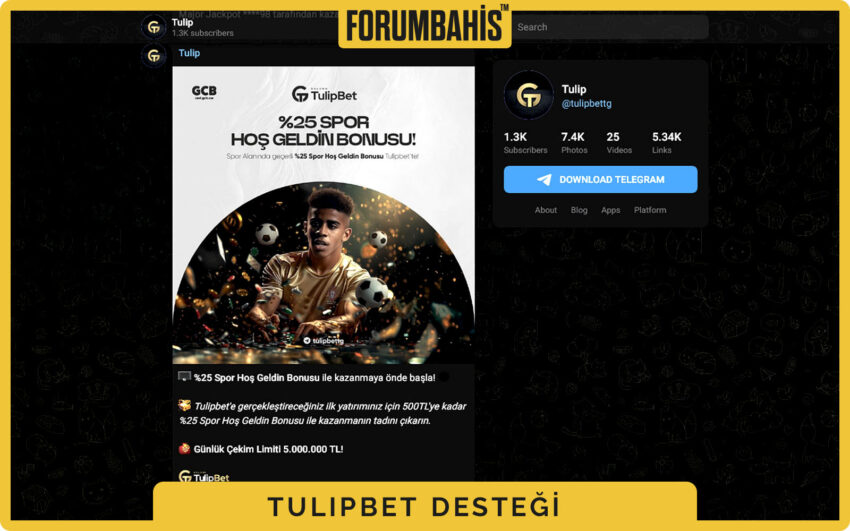 Tulipbet Telegram kanalına geçiş için destek butonu ve davet linki