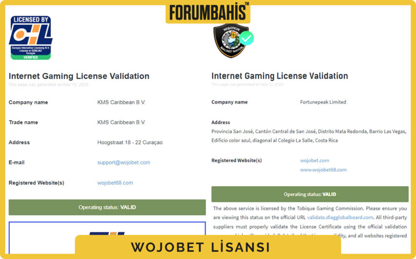 Wojobet lisans detayı, B2C lisans türü ve kayıt numarası kutusu