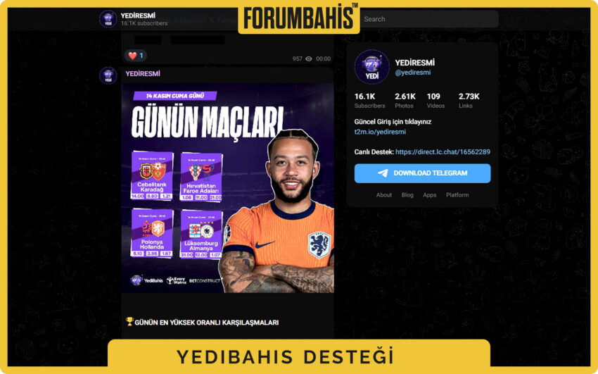 Yedibahis yardım merkezi ana ekranı, SSS başlıkları ve destek araması