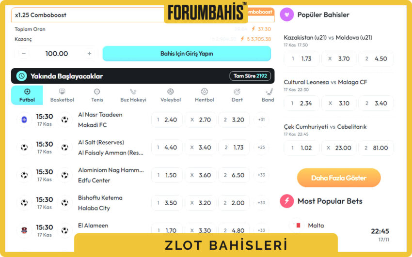 Zlot Instagram profiline yönlendiren destek bağlantısı ve kısa açıklama